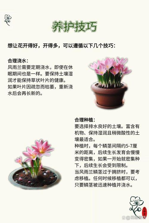 分享植物养护知识（植物养护指南）-第1张图片-多多自然网