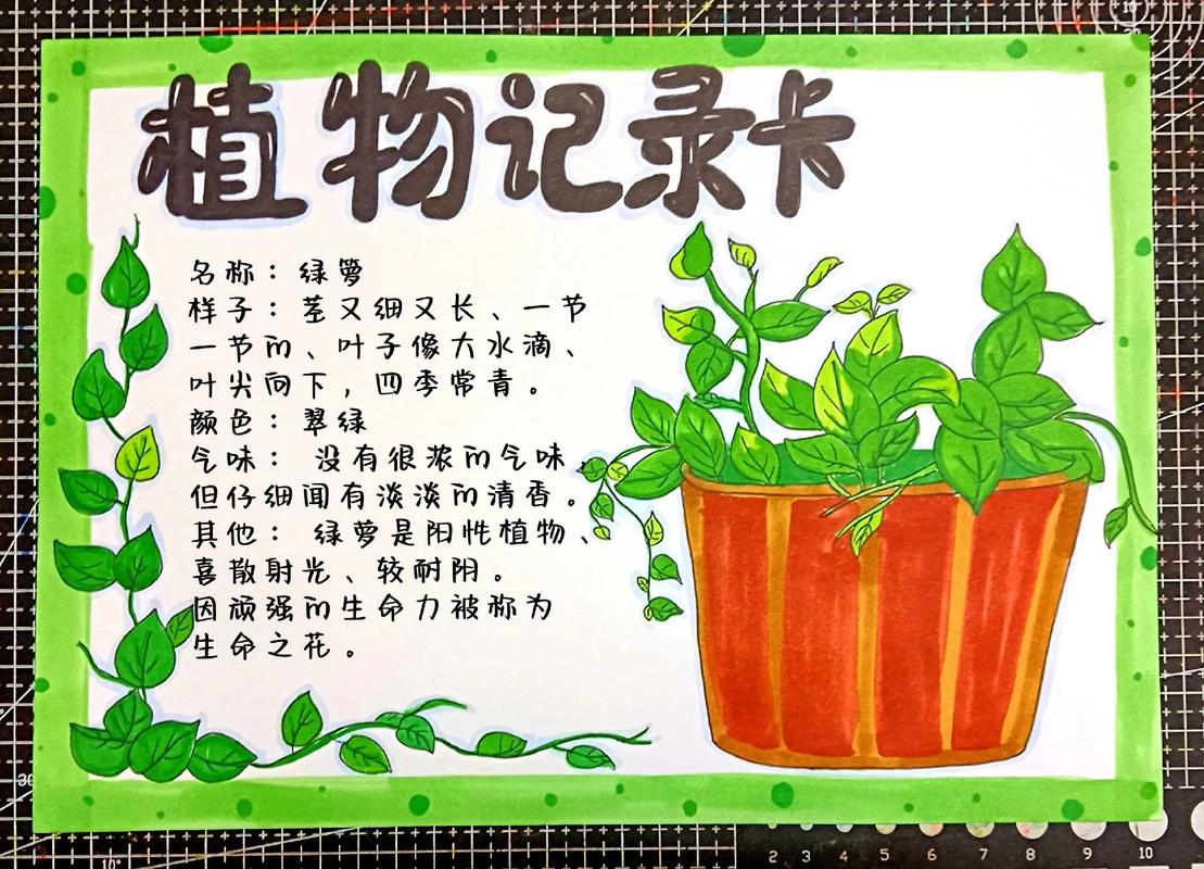 城市植物科普知识（城市植物科普知识大全）-第4张图片-多多自然网