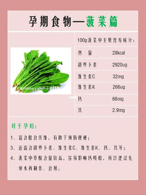 菠菜植物百科知识大全（菠菜植物百科知识大全图片）-第2张图片-多多自然网