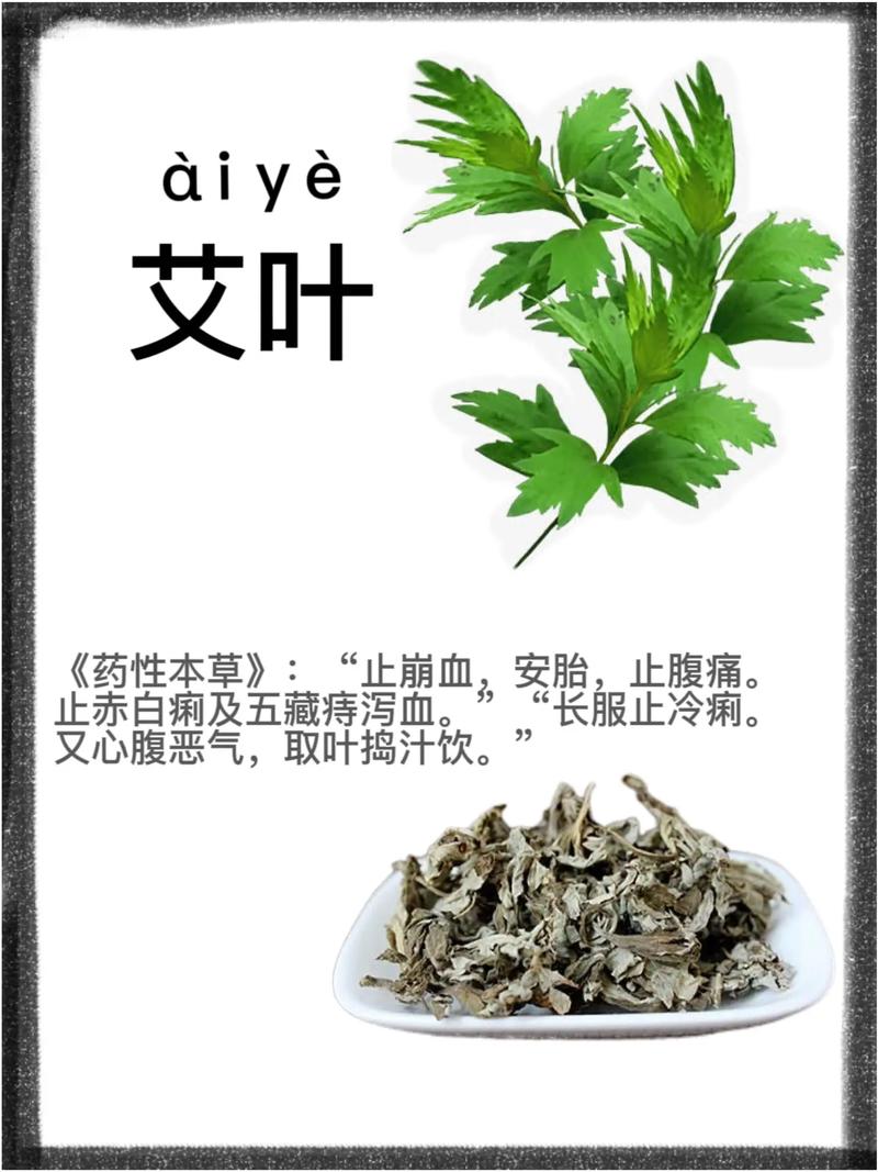 草药植物知识百科大全艾草（艾草药物功效与作用）-第7张图片-多多自然网