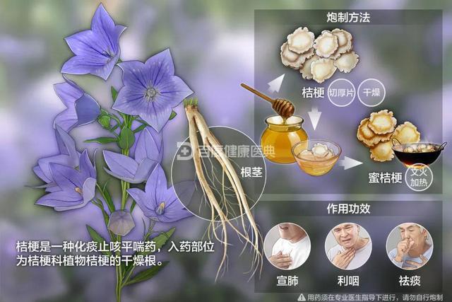 常见植物养护知识（植物养护口诀）-第1张图片-多多自然网