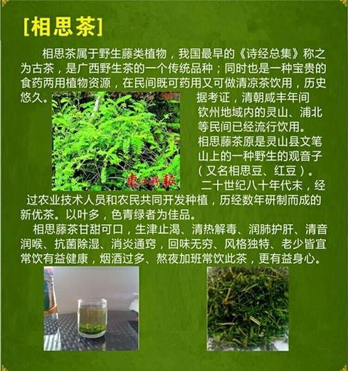 茶用植物科普知识（茶的植物学学名）-第1张图片-多多自然网