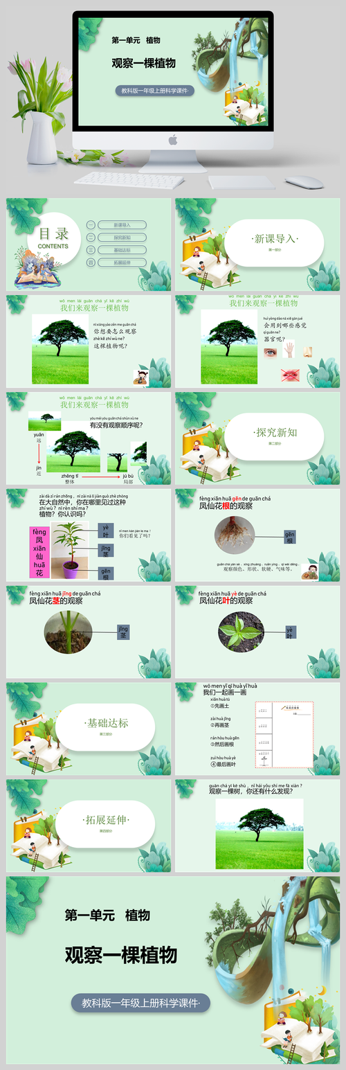 城市植物科普知识有哪些（城市常见植物资料）-第1张图片-多多自然网