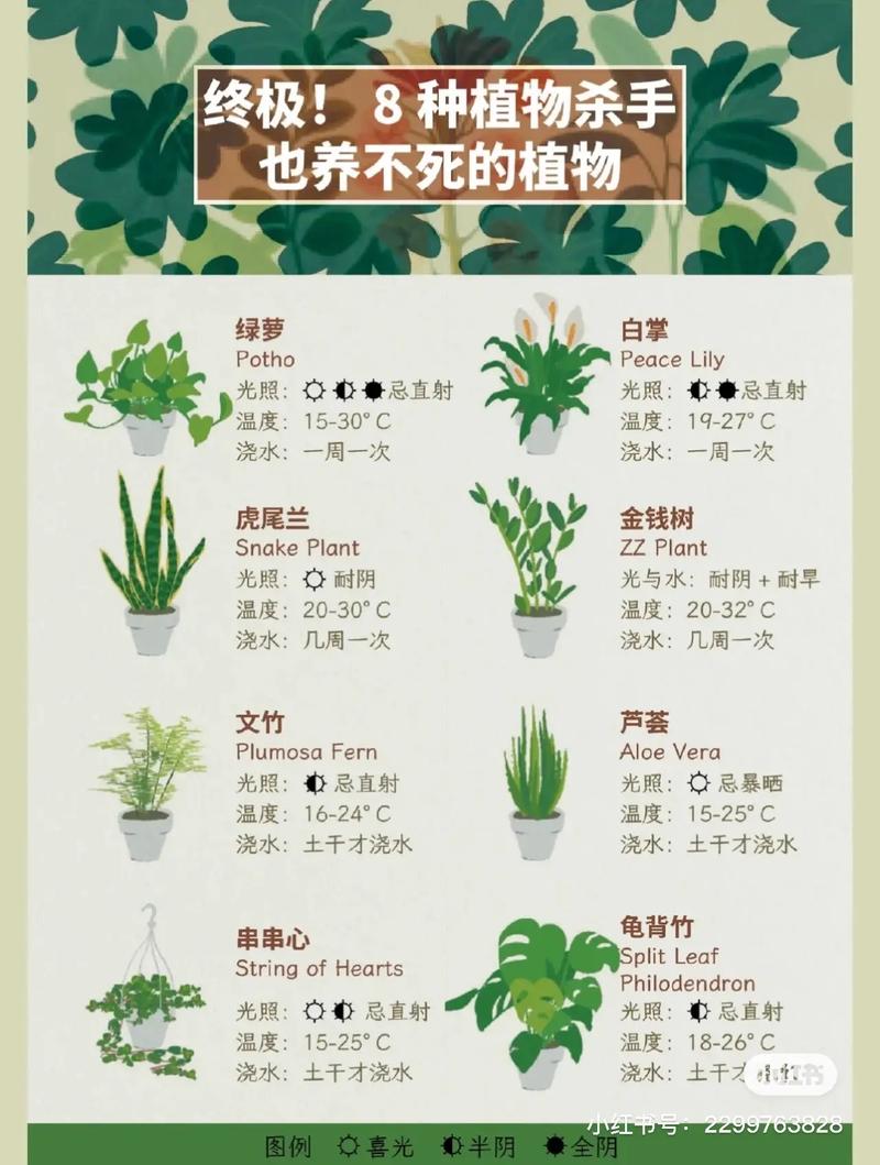 百科知识大全植物（植物百科小知识）-第6张图片-多多自然网