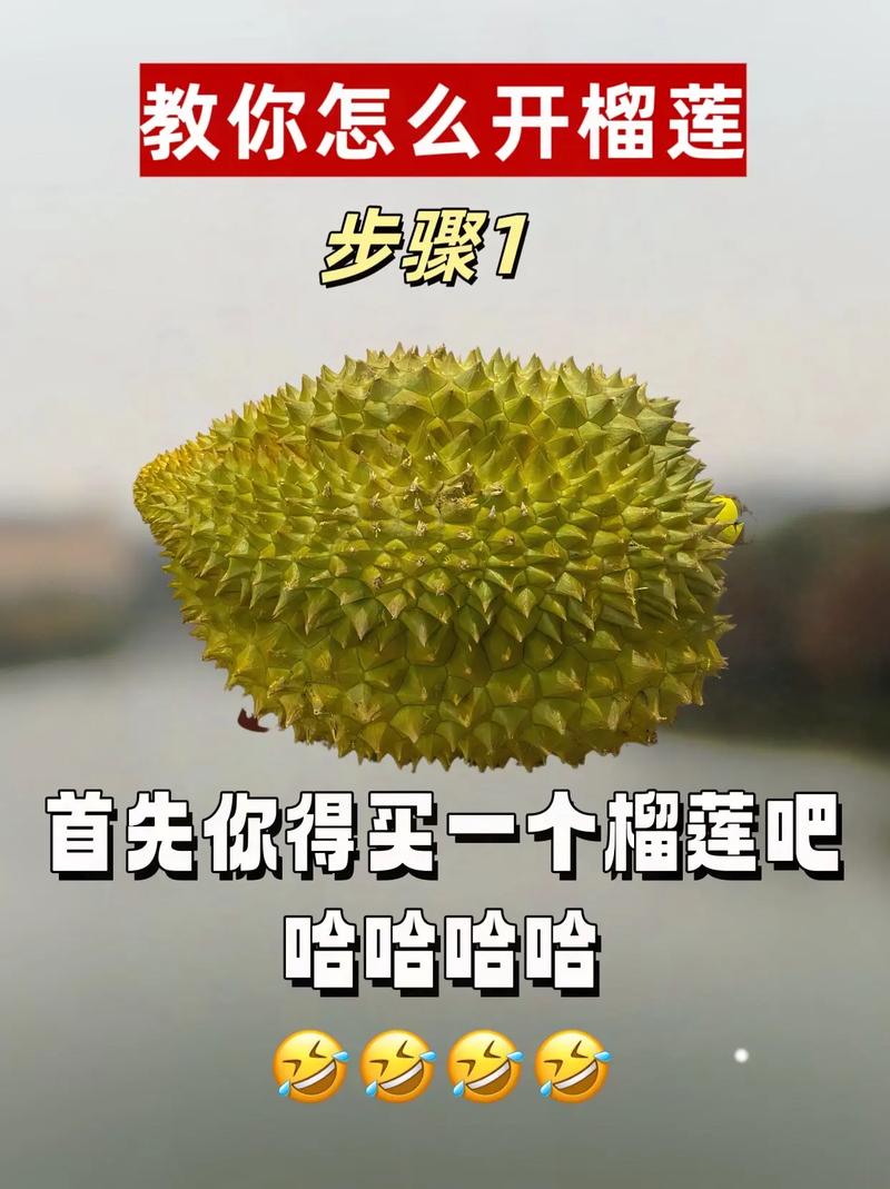 榴莲怎么打开（榴莲怎么打开没裂）-第6张图片-多多自然网