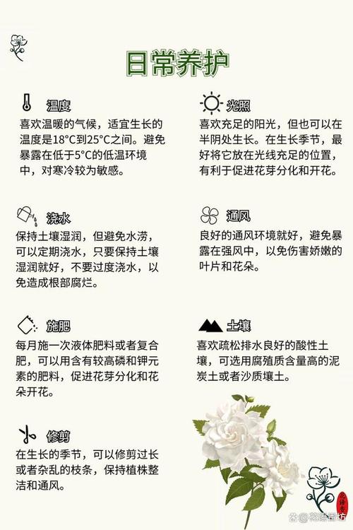 栀子花怎么养才长得好（栀子花怎么养比较好）-第1张图片-多多自然网