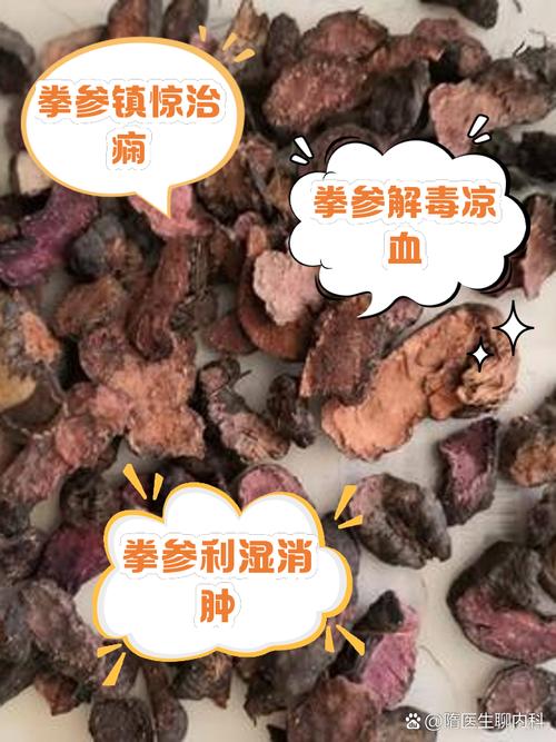 拳参的养殖方法及注意事项（拳参的种植前景）-第4张图片-多多自然网