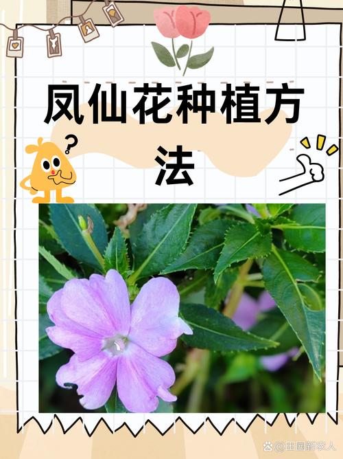 仙丹花在家掉叶子（仙丹花在家掉叶子什么原因）-第6张图片-多多自然网